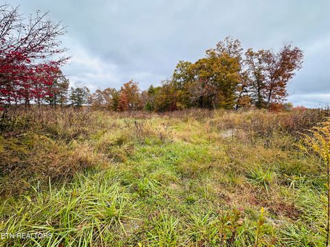 Tiny photo for 445 Nashville Hwy, Deer Lodge, TN 37726 (MLS # 1320113)