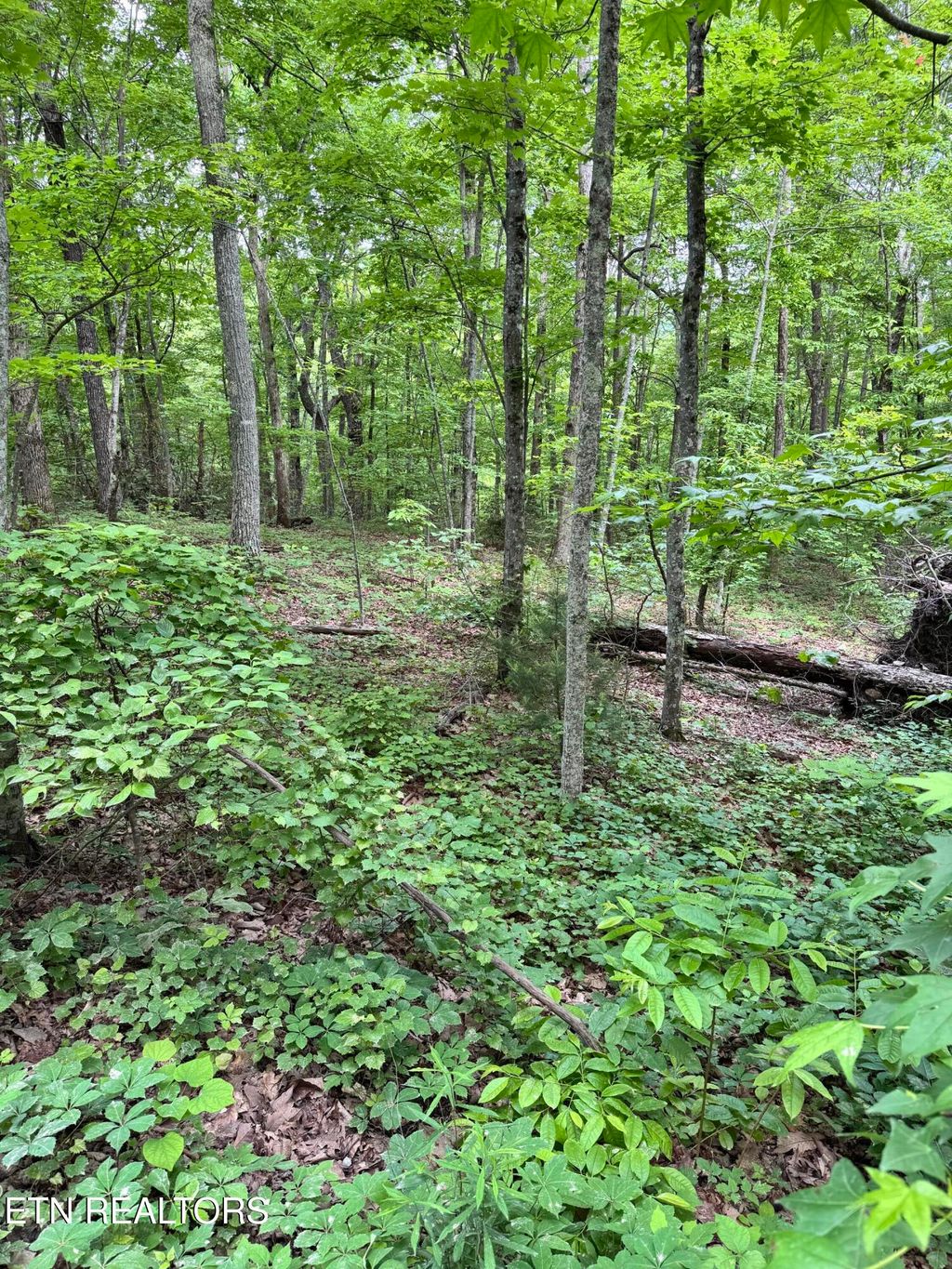 Photo of Prettiest Sunset Way #Lot 3, Seymour, TN 37865 (MLS # 1333821)