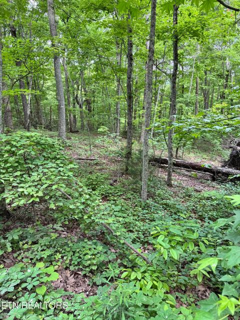 Tiny photo for Prettiest Sunset Way #Lot 3, Seymour, TN 37865 (MLS # 1333821)