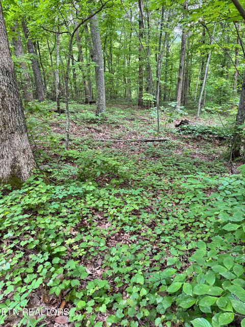 Tiny photo for Prettiest Sunset Way #Lot 3, Seymour, TN 37865 (MLS # 1333821)