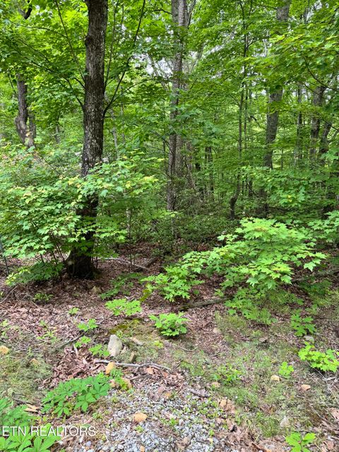 Tiny photo for Prettiest Sunset Way #Lot 3, Seymour, TN 37865 (MLS # 1333821)