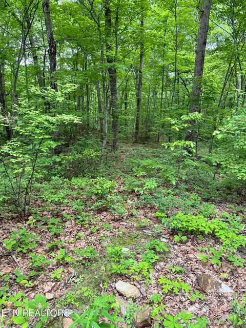 Tiny photo for Prettiest Sunset Way #Lot 3, Seymour, TN 37865 (MLS # 1333821)