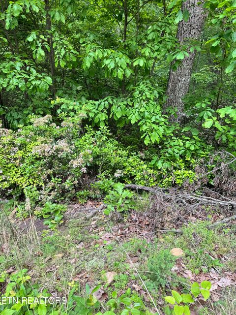 Tiny photo for Prettiest Sunset Way #Lot 3, Seymour, TN 37865 (MLS # 1333821)