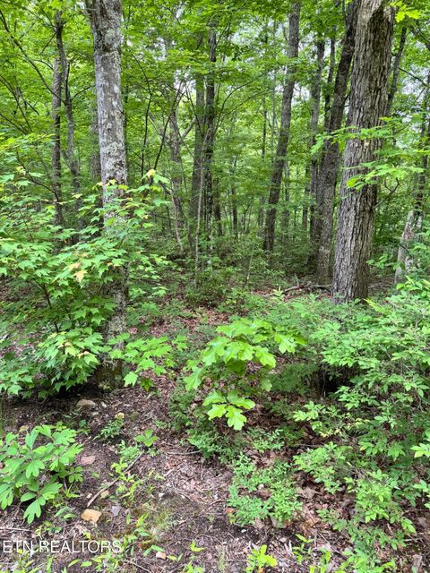 Tiny photo for Prettiest Sunset Way #Lot 3, Seymour, TN 37865 (MLS # 1333821)