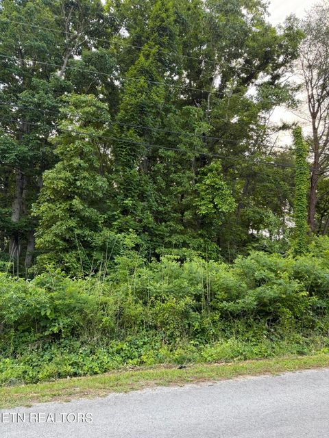 Tiny photo for 72 Indian Hills Drive, Dayton, TN 37321 (MLS # 1340795)
