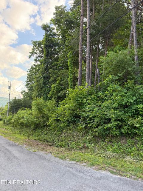 Tiny photo for 72 Indian Hills Drive, Dayton, TN 37321 (MLS # 1340795)