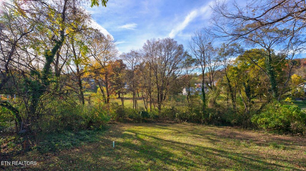 Photo of 135 Blazer St, Newport, TN 37821 (MLS # 1321677)