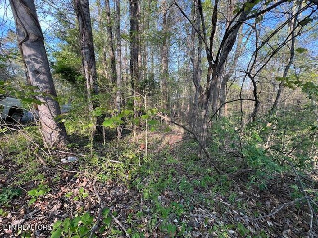 Photo of Pine Hollow Rd, Jacksboro, TN 37757 (MLS # 1336111)