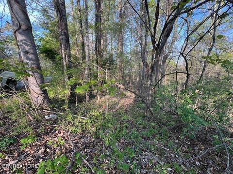 Pine Hollow Rd Jacksboro TN 37757