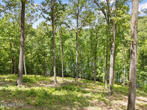 Tiny photo for Shanghai Landing Lane #Lot 6, LaFollette, TN 37766 (MLS # 1329868)