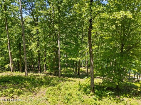 Tiny photo for Shanghai Landing Lane #Lot 6, LaFollette, TN 37766 (MLS # 1329868)