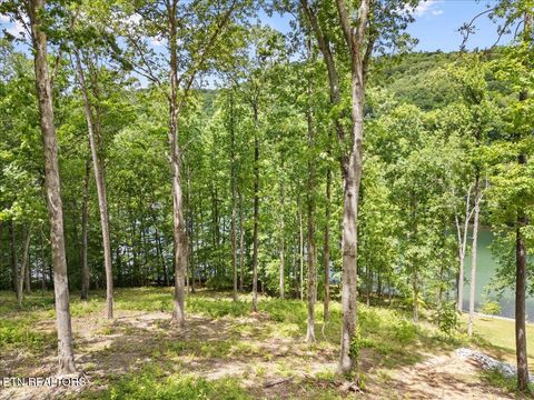 Tiny photo for Shanghai Landing Lane #Lot 6, LaFollette, TN 37766 (MLS # 1329868)