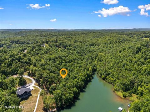 Tiny photo for Shanghai Landing Lane #Lot 6, LaFollette, TN 37766 (MLS # 1329868)