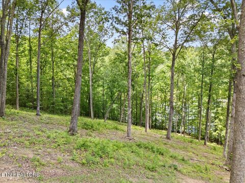 Tiny photo for Shanghai Landing Lane #Lot 6, LaFollette, TN 37766 (MLS # 1329868)