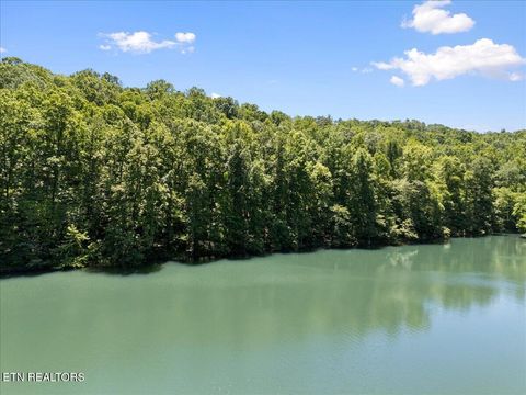 Tiny photo for Shanghai Landing Lane #Lot 6, LaFollette, TN 37766 (MLS # 1329868)