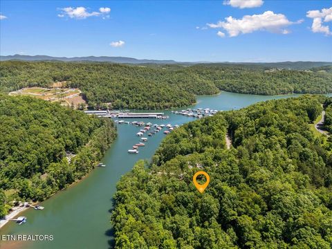 Tiny photo for Shanghai Landing Lane #Lot 6, LaFollette, TN 37766 (MLS # 1329868)