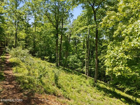 Tiny photo for Shanghai Landing Lane #Lot 6, LaFollette, TN 37766 (MLS # 1329868)