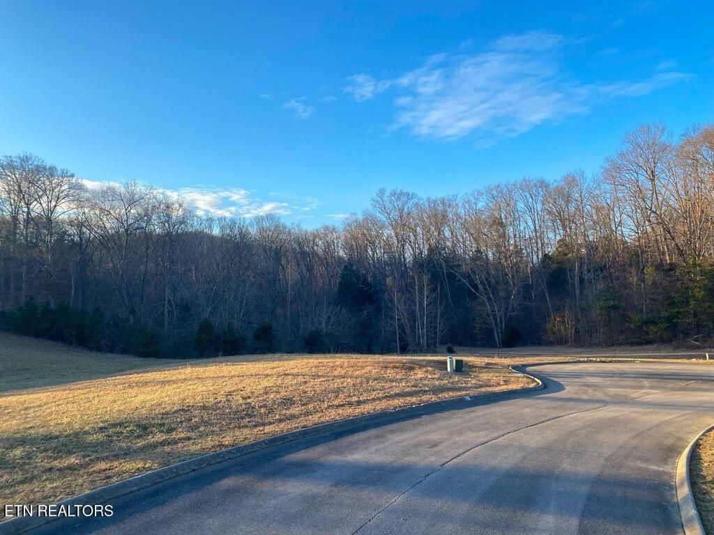 Photo of 6312 Turners Pond Tr, Russellville, TN 37860 (MLS # 1315576)