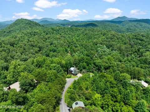 Tiny photo for 3420 No Business Way Way, Sevierville, TN 37876 (MLS # 1359269)