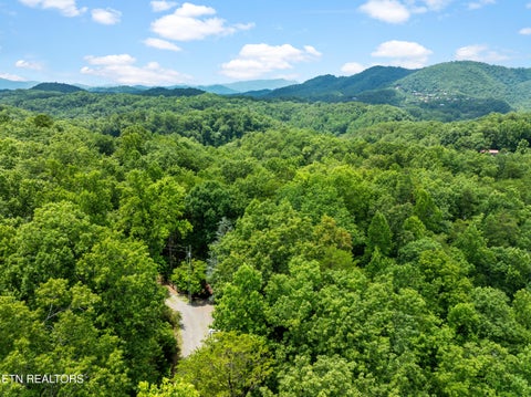 Tiny photo for 3420 No Business Way Way, Sevierville, TN 37876 (MLS # 1359269)