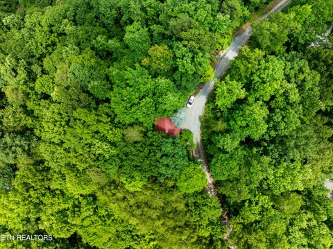 Tiny photo for 3420 No Business Way Way, Sevierville, TN 37876 (MLS # 1359269)