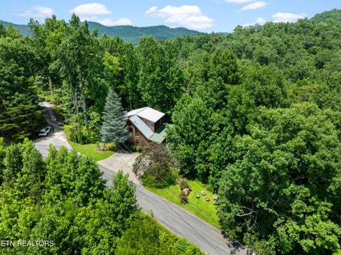 Tiny photo for 3420 No Business Way Way, Sevierville, TN 37876 (MLS # 1359269)