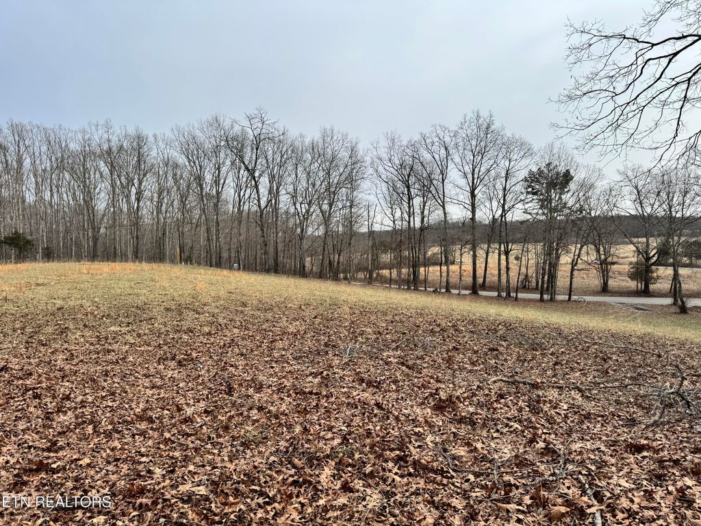 Photo of 41 Smith Mountain Rd, Rockwood, TN 37854 (MLS # 1328073)