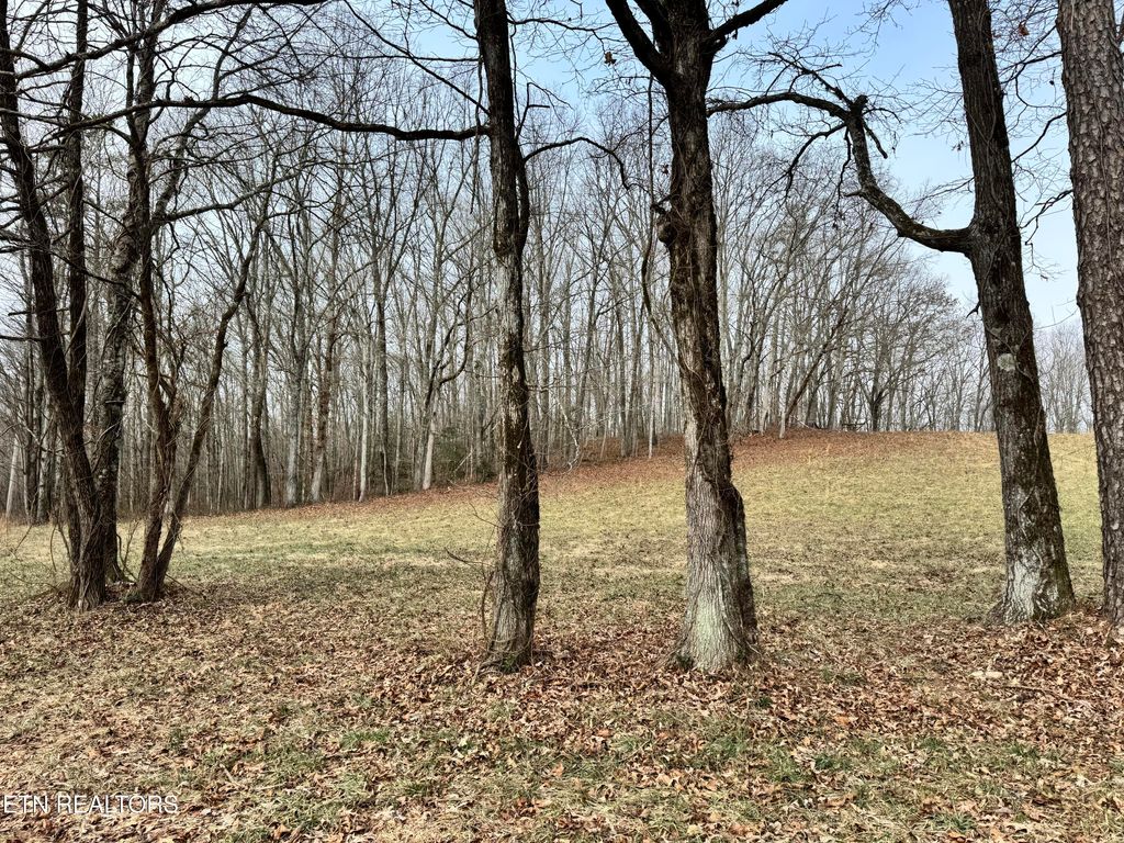 Photo of 41 Smith Mountain Rd, Rockwood, TN 37854 (MLS # 1328073)