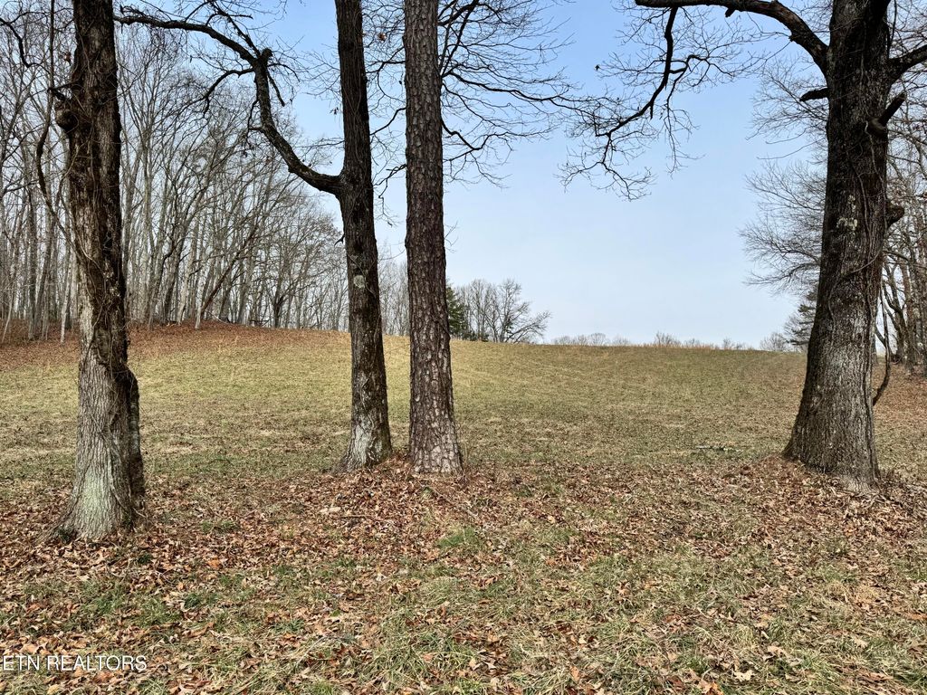 Photo of 41 Smith Mountain Rd, Rockwood, TN 37854 (MLS # 1328073)
