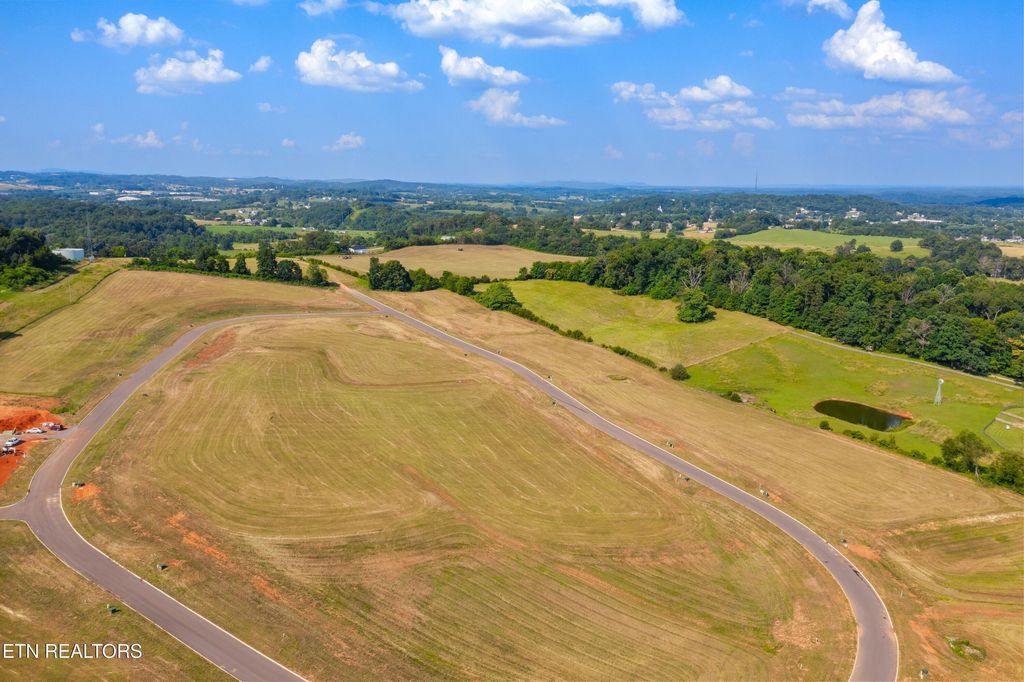 Photo of 72 Vista Ridge Drive, White Pine, TN 37890 (MLS # 1311874)