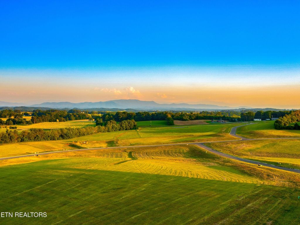 Photo of 72 Vista Ridge Drive, White Pine, TN 37890 (MLS # 1311874)