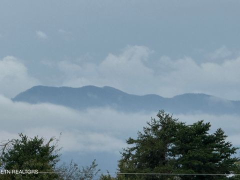 Tiny photo for 148 Peace Rd, Newport, TN 37821 (MLS # 1317015)