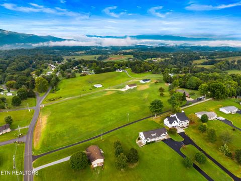 Tiny photo for 148 Peace Rd, Newport, TN 37821 (MLS # 1317015)