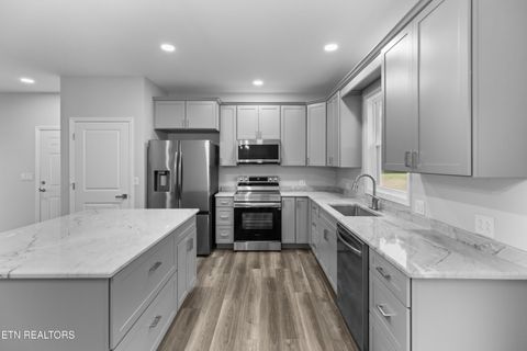 Tiny photo for 148 Peace Rd, Newport, TN 37821 (MLS # 1317015)