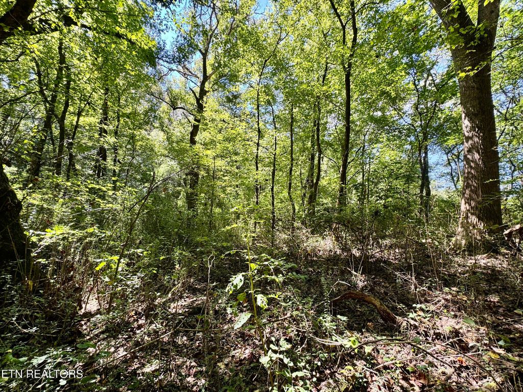 Photo of Randolph Fridley Rd, Sweetwater, TN 37874 (MLS # 1316553)