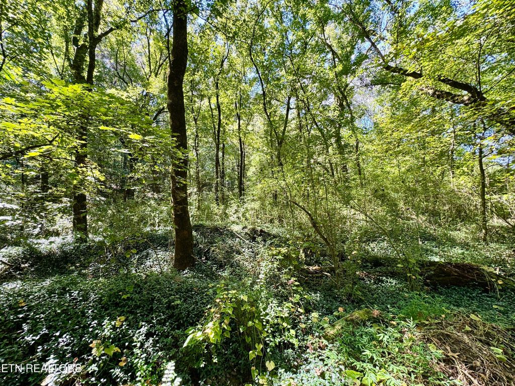 Photo of Randolph Fridley Rd, Sweetwater, TN 37874 (MLS # 1316553)