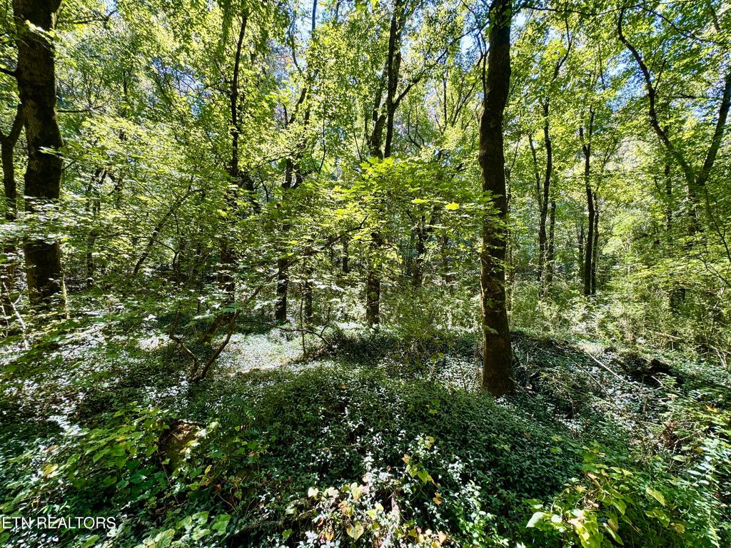 Photo of Randolph Fridley Rd, Sweetwater, TN 37874 (MLS # 1316553)