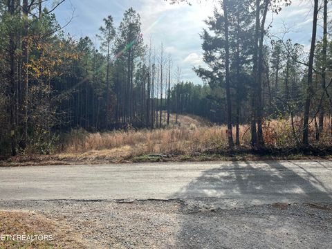 Photo of 3203 Armstrong Ferry Rd, Decatur, TN 37322 (MLS # 1322479)