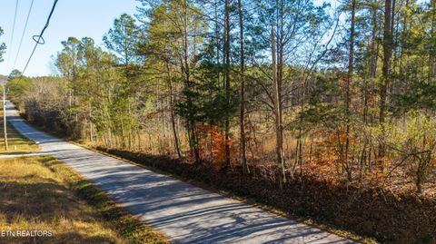 Tiny photo for 3203 Armstrong Ferry Rd, Decatur, TN 37322 (MLS # 1322479)