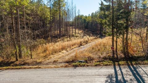 Tiny photo for 3203 Armstrong Ferry Rd, Decatur, TN 37322 (MLS # 1322479)