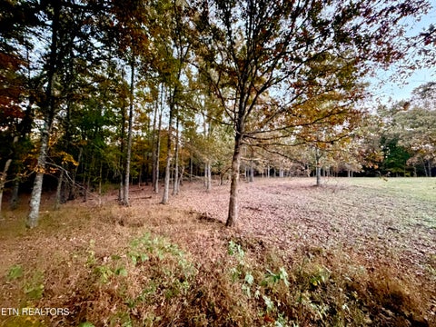 Tiny photo for Poke Patch Rd, Crossville, TN 38572 (MLS # 1359995)