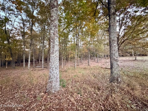 Tiny photo for Poke Patch Rd, Crossville, TN 38572 (MLS # 1359995)