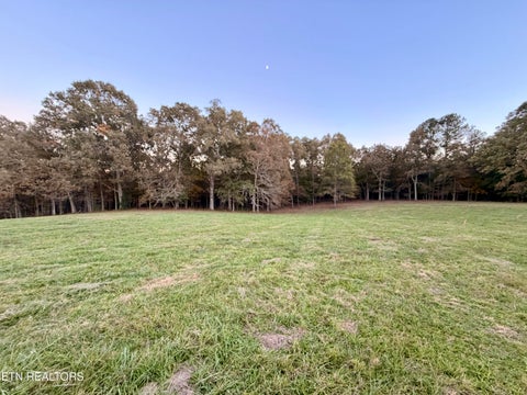 Tiny photo for Poke Patch Rd, Crossville, TN 38572 (MLS # 1359995)