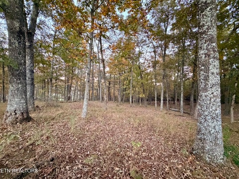 Tiny photo for Poke Patch Rd, Crossville, TN 38572 (MLS # 1359995)