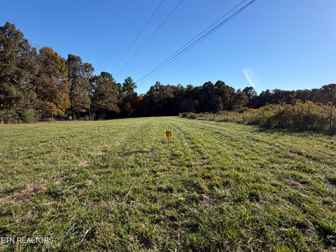 Tiny photo for Poke Patch Rd, Crossville, TN 38572 (MLS # 1359995)