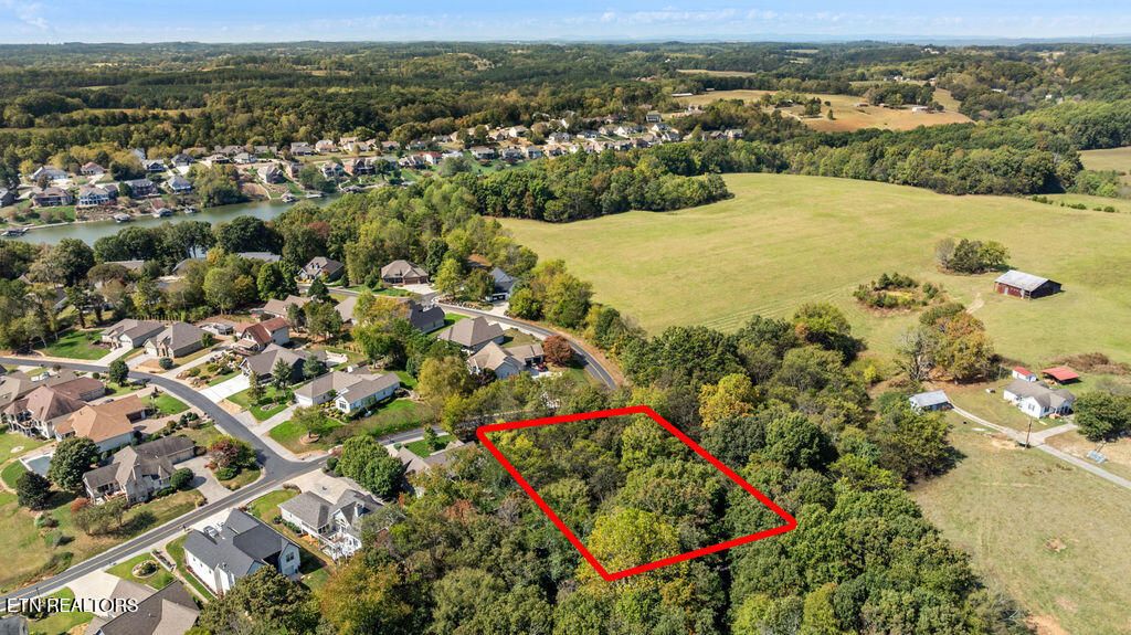 Photo of 229 Amohi Way, Loudon, TN 37774 (MLS # 1318414)