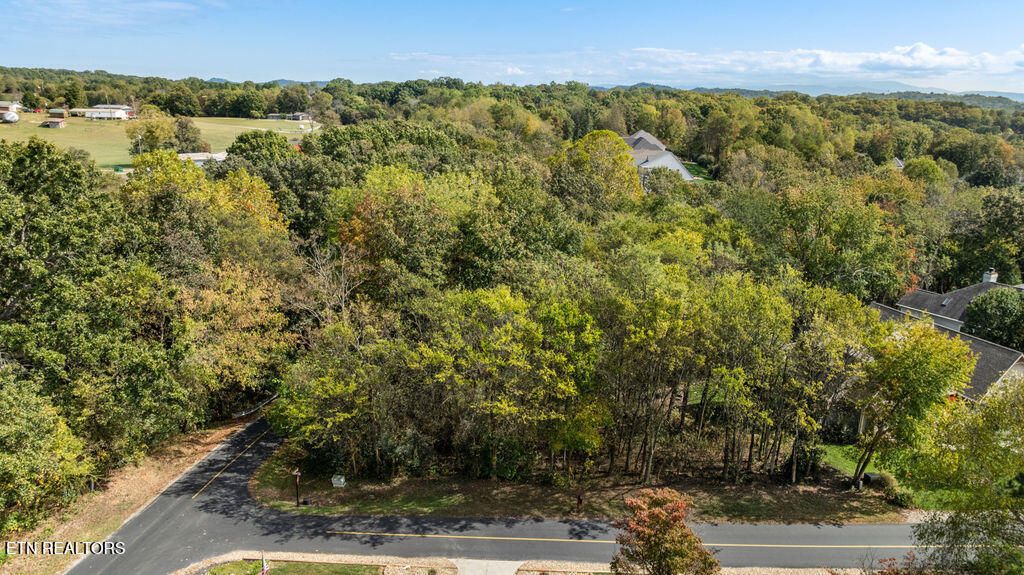 Photo of 229 Amohi Way, Loudon, TN 37774 (MLS # 1318414)