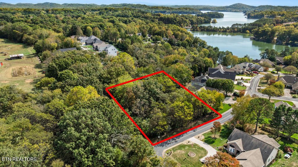 Photo of 229 Amohi Way, Loudon, TN 37774 (MLS # 1318414)