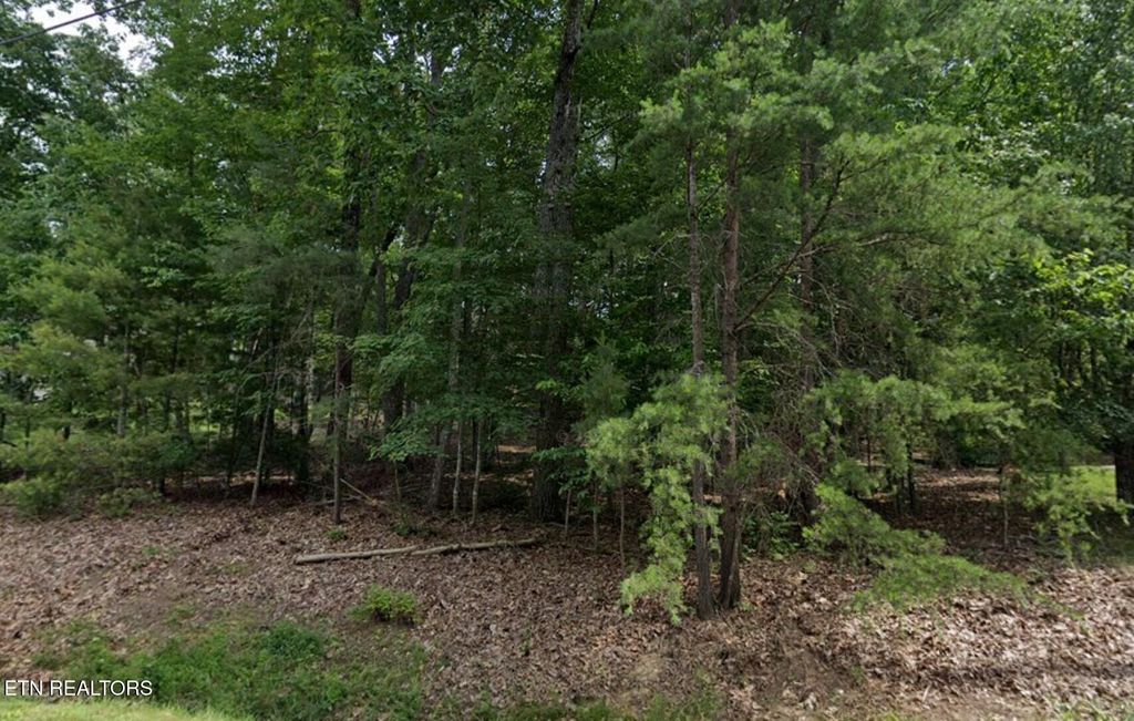 Photo of 36 Markham Terrace, Fairfield Glade, TN 38558 (MLS # 1338185)