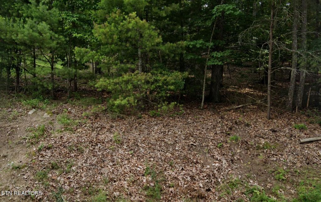 Photo of 36 Markham Terrace, Fairfield Glade, TN 38558 (MLS # 1338185)